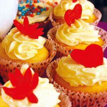 Gemma's Cupcakes